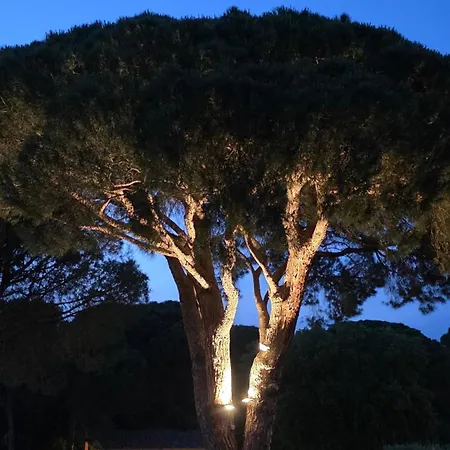 Grand T3 Climatise A Raphael Valescure *