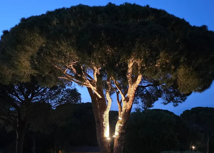 Grand T3 Climatise A Raphael Valescure *